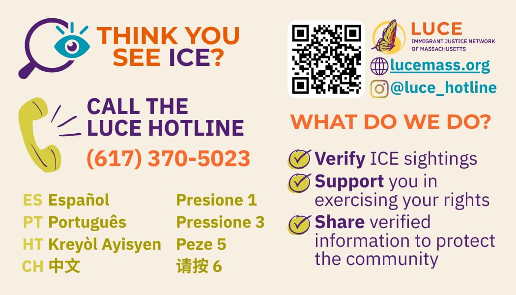 Screenshot of the front of a LUCE card in English. It reads, "Think You See ICE? Call the LUCE Hotline 617-370-5023